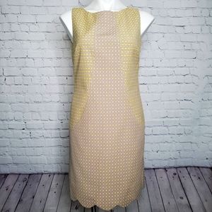 Muse Sleevless Dress with Scalloped Hem Size 8